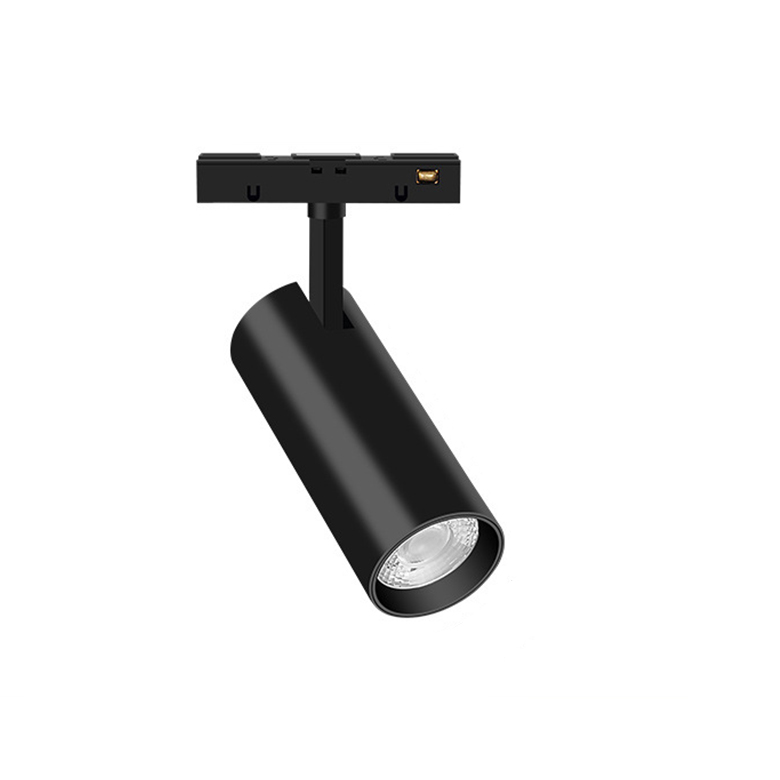  - Residential Lighting Cases - 5